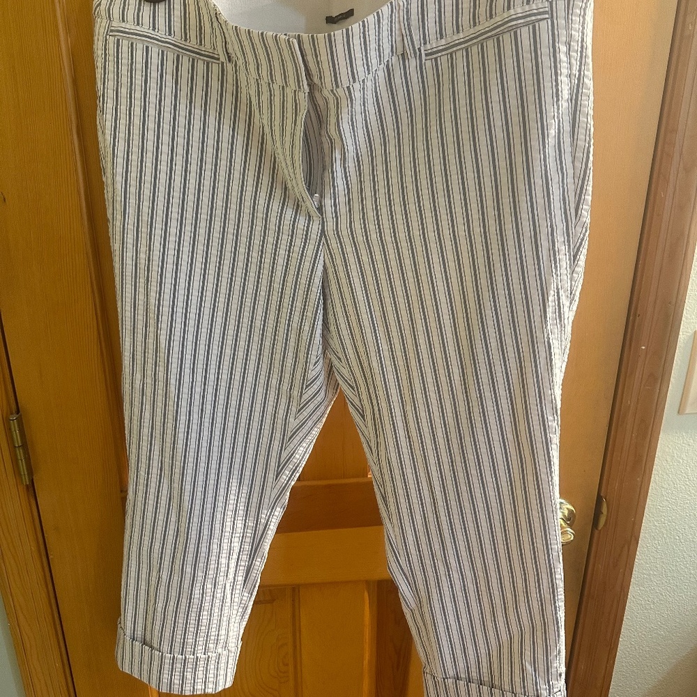 Blue and white striped crop pants